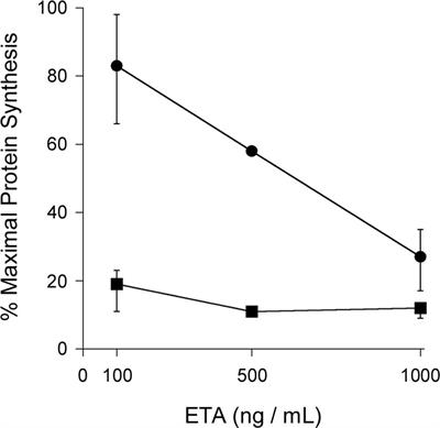 Proline Isomerization as a Key Determinant for Hsp90-Toxin Interactions